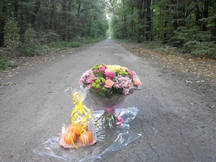 Flowers delivery Novozaryivka