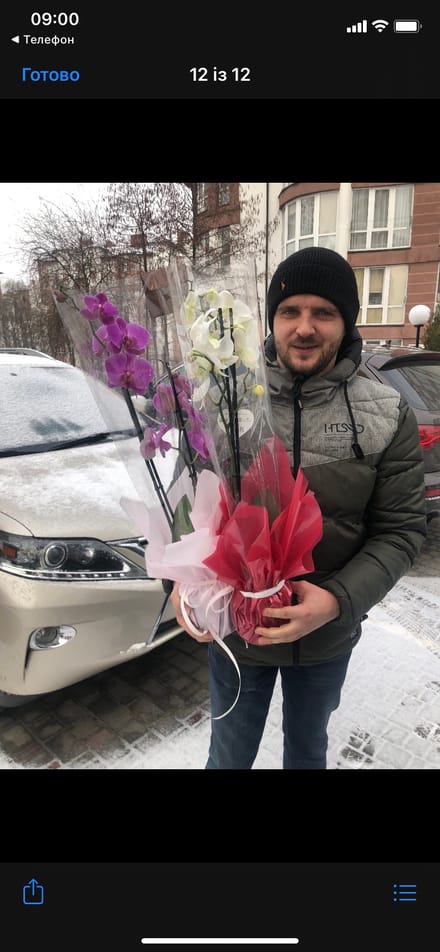 Flowers delivery Ivano-Frankovsk