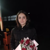 Roses in the snow - Яблуница