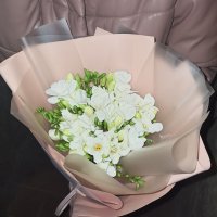 White freesia by the piece - Can-Pastilla