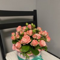 Рожеві кущові троянди в коробці - Ангрен