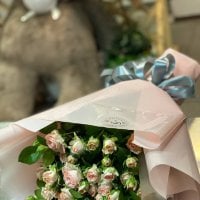 Cream spay roses by the piece - Belogore