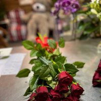 Поштучно червоні троянди 70 см - Квінсленд