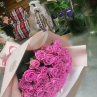 Квіти поштучно рожеві троянди - Київ - Нивки