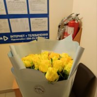 25 yellow roses - Elsternwick