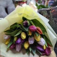 19 різнокольорових тюльпанів - Ботнарешти