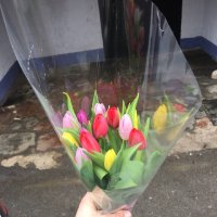Tulips by the piece - Presov