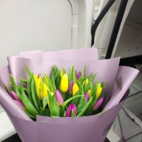 25 жовтих і фіолетових тюльпанів - Буча