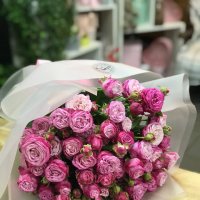 Поштучно кущова троянда Леді Бомбастік - Карагайли
