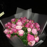 Поштучно кущова троянда Леді Бомбастік - Ніебуелль