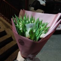 25 white tulips - Binghamton