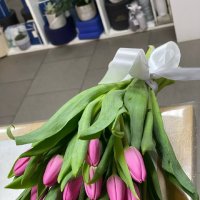 Розовые тюльпаны поштучно - Кэмпердаун