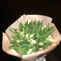 Белые тюльпаны (51 шт) - Нойал-Понтиви