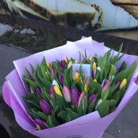 Букет 51 тюльпанів - Куматото