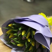 25 yellow and purple tulips - Egham