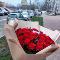 51 red roses  - Bogdanovka