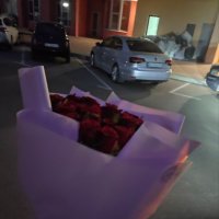 51 red roses  - Chervoniy Donets