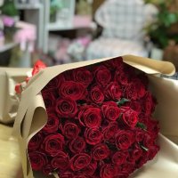 51 червона троянда  - Шарлєруа