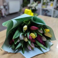 For Easter - Poltava region