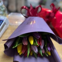 25 multi colored tulips - Peshtera