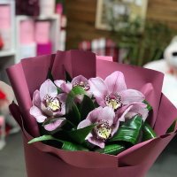 Three orchids - Belem
