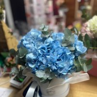 Blue hydrangea in a box - Wickede