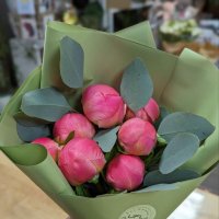 7 coral peonies - Bournemouth