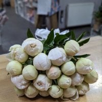 White peonies by piece - Trizen