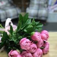 Peony light pink by the piece - Weissenthurm