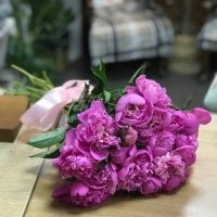 Розовые пионы - Кэмптен