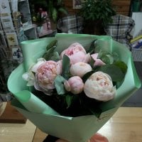 7 розовых пионов - М