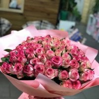 101 roses Jumilia - Pershotravensk