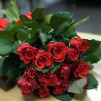 Роза Эль Торо 50см поштучно - Скала-Подольская