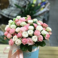 Spray roses in a box - Nikopol (Ukraine)