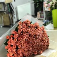101 coral roses - Des Moines