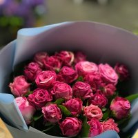 Promo! 25 hot pink roses 40 cm - Soesterberg