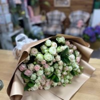 Pink and white (of shrub roses) - Langelsheim