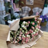 Pink and white (of shrub roses) - Minsk Mazowiecki