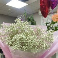 Flowers delivery Vorzel