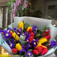 Bright spring - Apriy