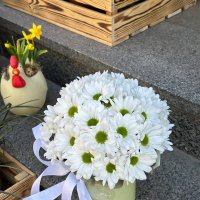 Доставка цветов Соломенский район