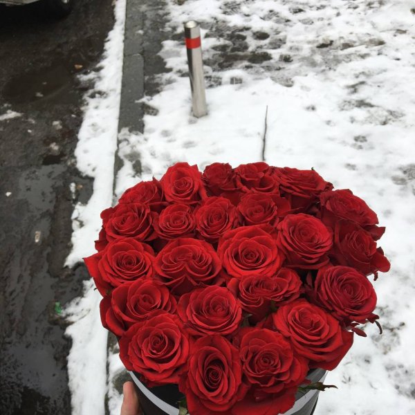 Червоні троянди в коробці 23 шт - Столін