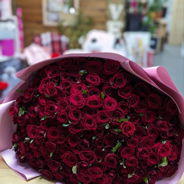 151 red roses - Antoniny