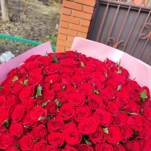 151 red roses - Kaisiadorys