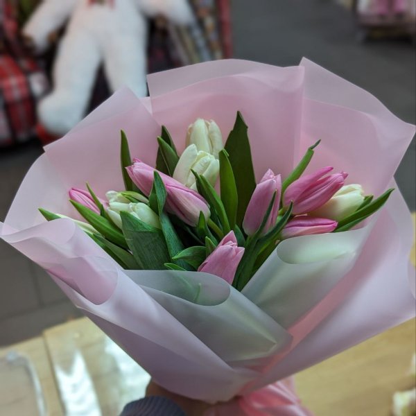 15 pink and white tulips  - Swansea