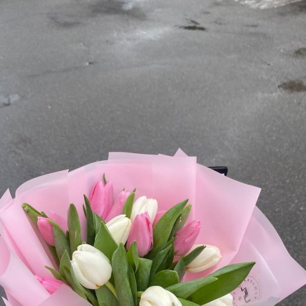  15 білих і рожевих тюльпанів - Обухів