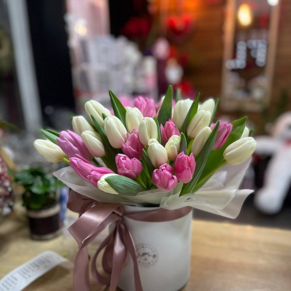 Pink and white tulips in a box - Shodnytsia