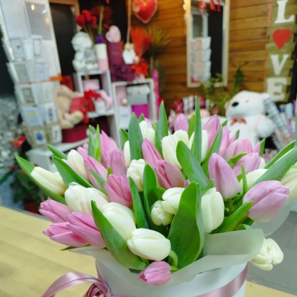 Білі і рожеві тюльпани в коробці - Маньковка