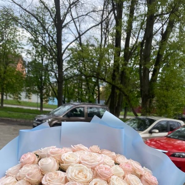 Promo! 51 creamy roses - Novyj Merchik
