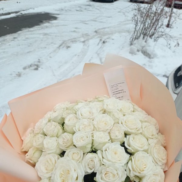 Promo! 51 white roses - Mostiska